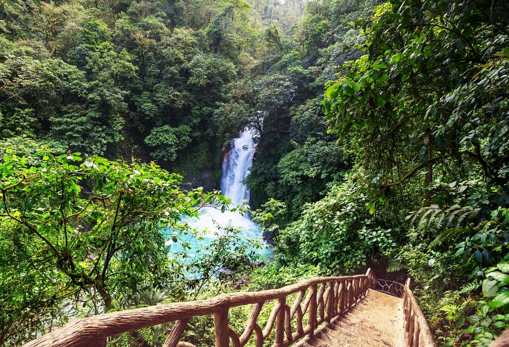 A rainforest in Costa Rica